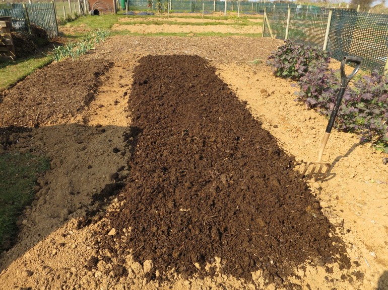 Allotment