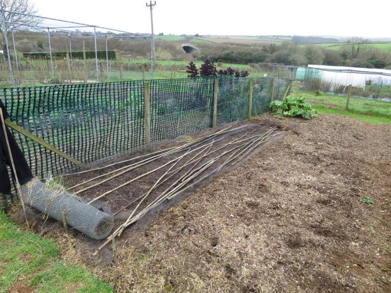 Allotment-11