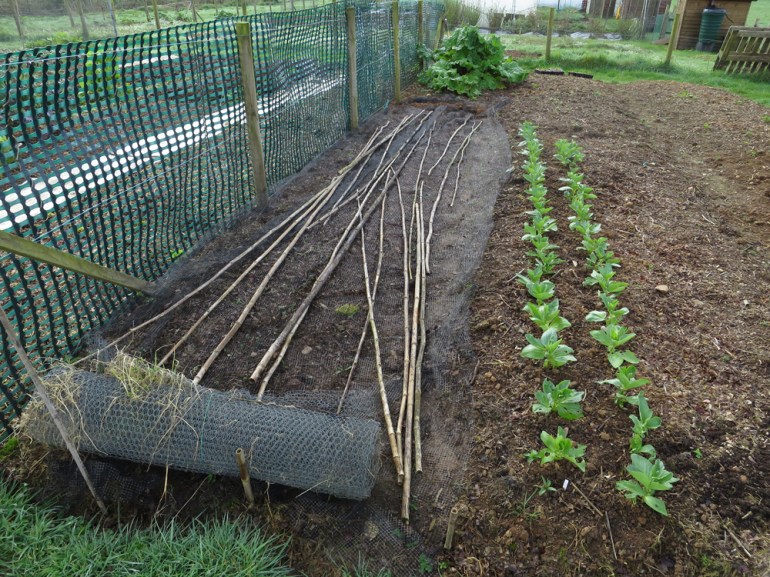 Allotment-14