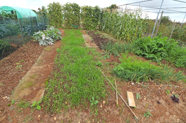 Allotment-87