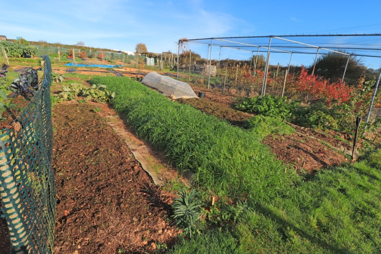 Allotment-97