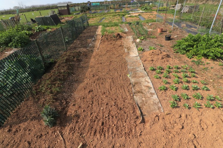 Allotment-102