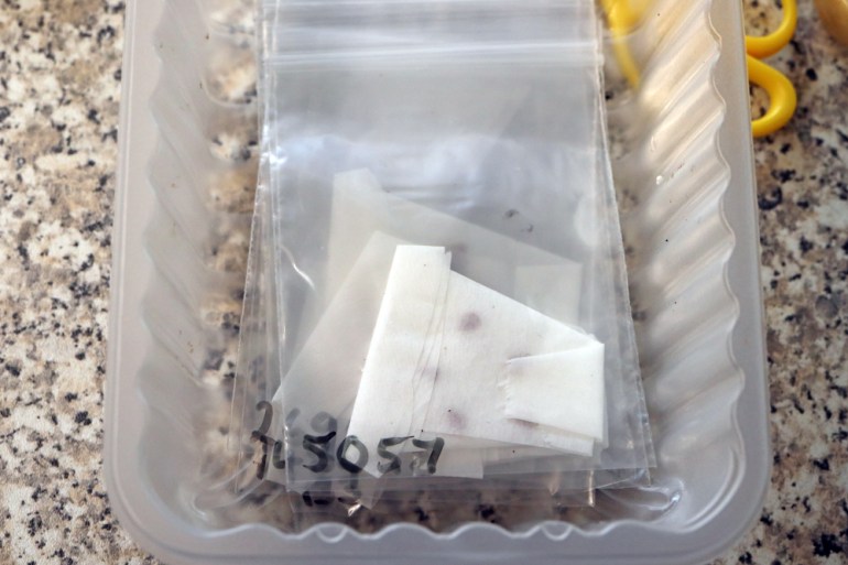 Seeds in filter papers placed in plastic zip lock bags and taking up hardly any more room than before they were sown.