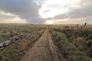 Head off up this lane.