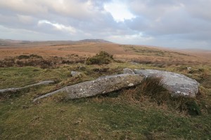 Brown Willy from Tolborough Tor