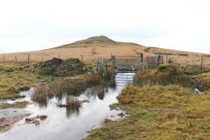 Looking back to Brown Willy