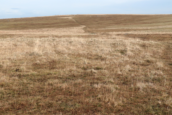 Out into the moor, a path is just about visible