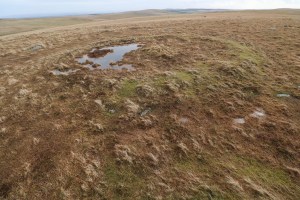 Circular bank, erased entirely at the left side.